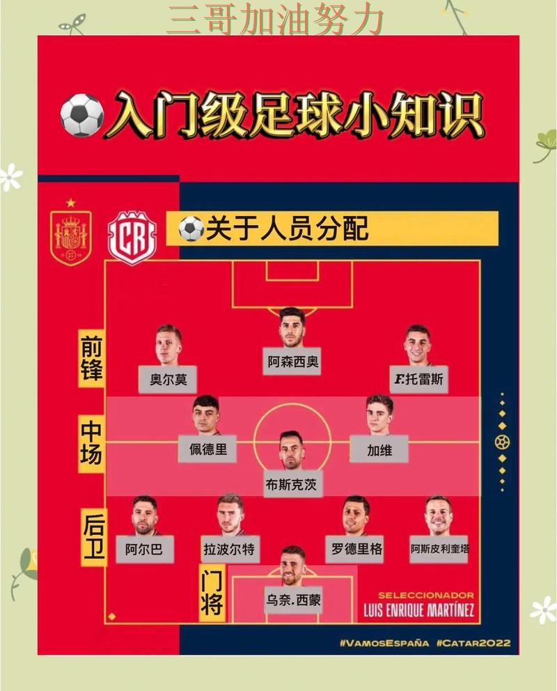世界杯买球如何操作？真实体验带你了解（世界杯官方信息）