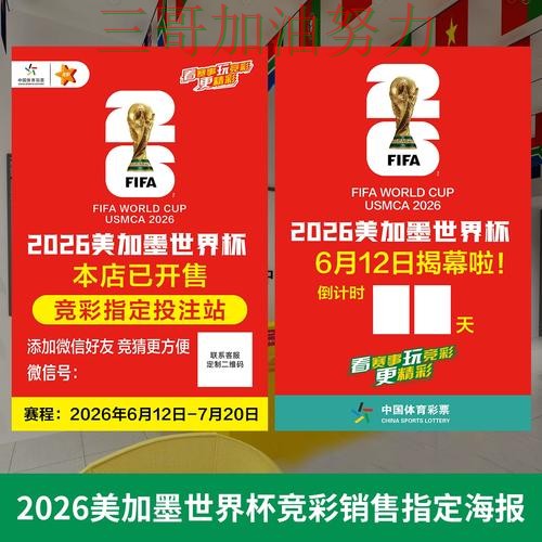 世界杯投注网站大全怎么玩？数据分析带你了解（世界杯赛事中心）